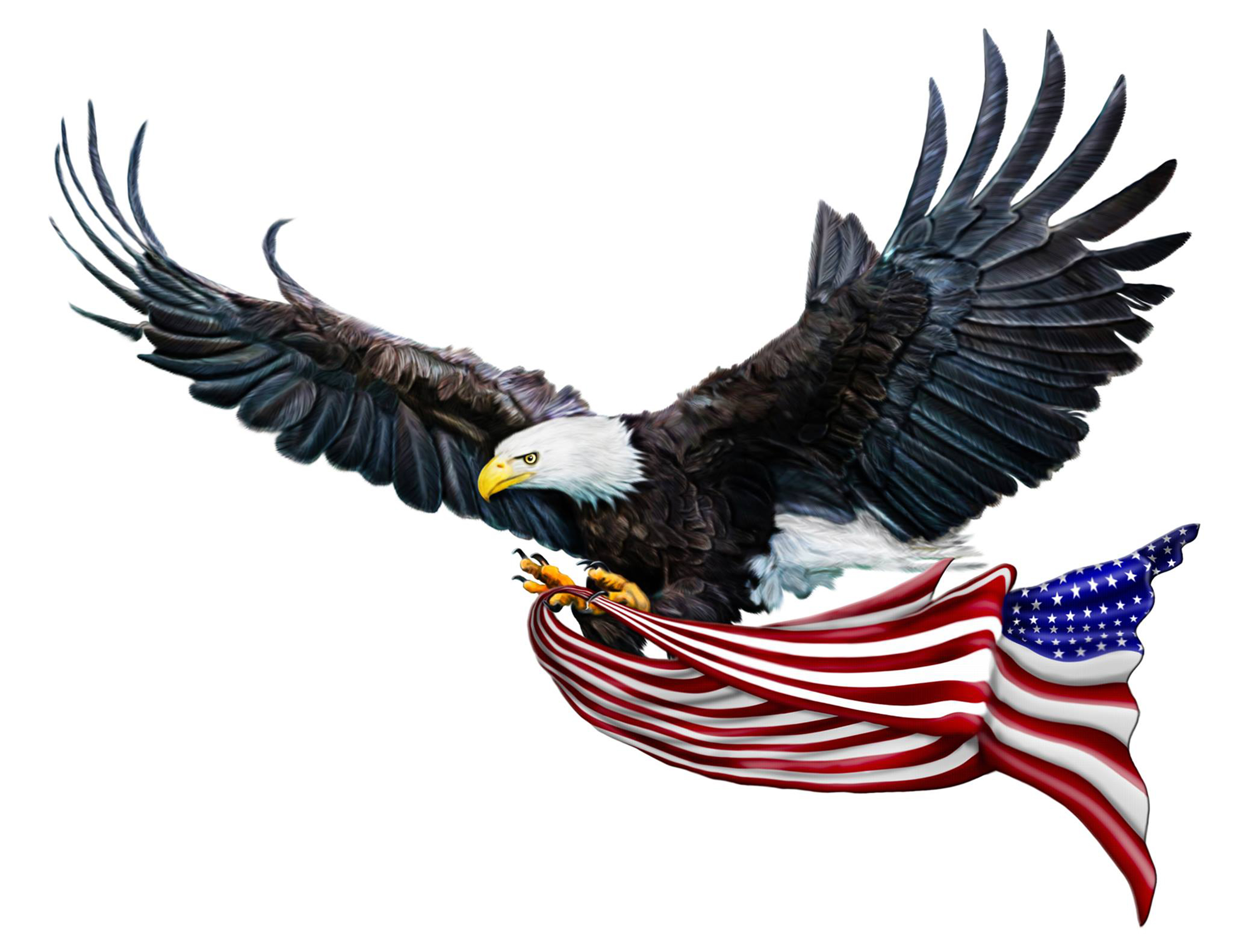 Символ Америки белоголовый Орлан на гербе